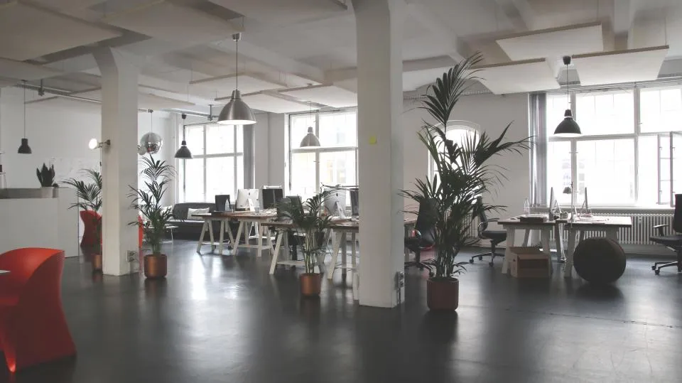 Petit bureau garni de plantes après un entretien ménager commercial à Saint-Placide